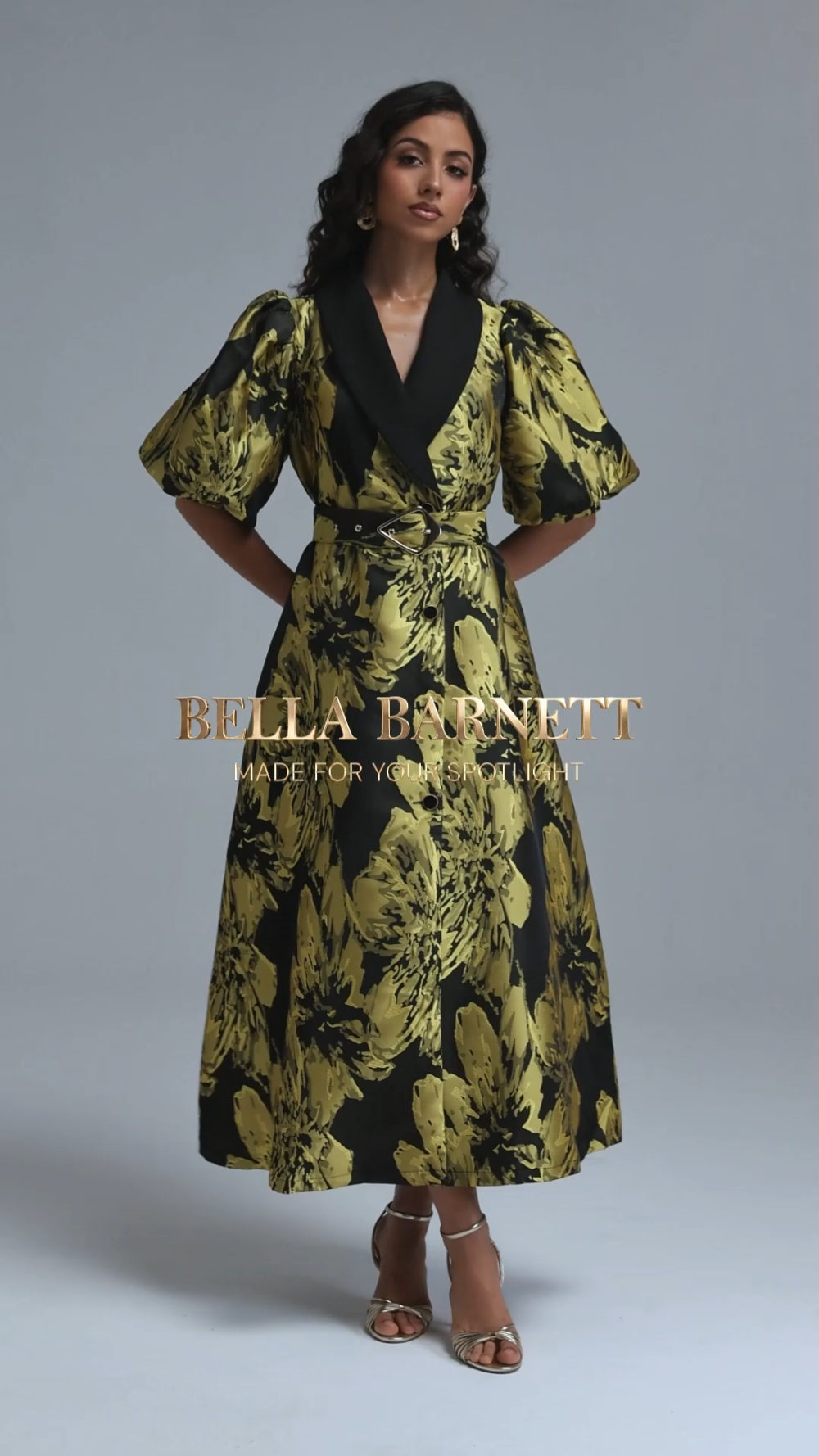 Polasa Vintage Tailored Puff Sleeve Jacquard Woven Maxi Dress image 8